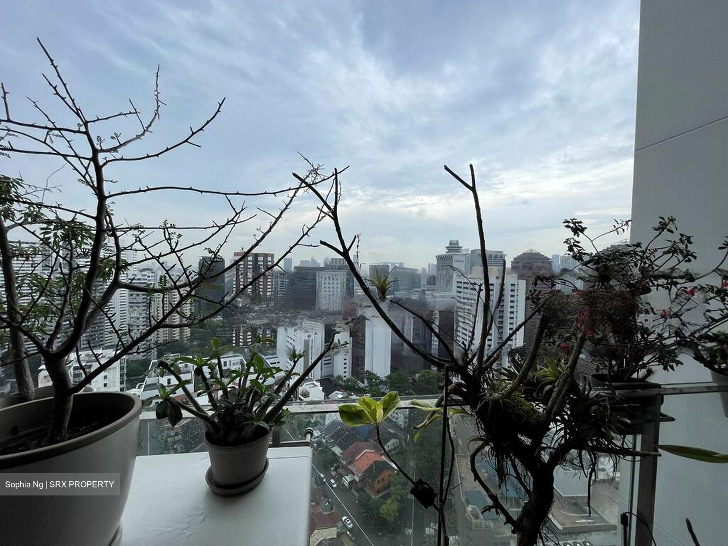 Scotts Square (D9), Apartment #465951991